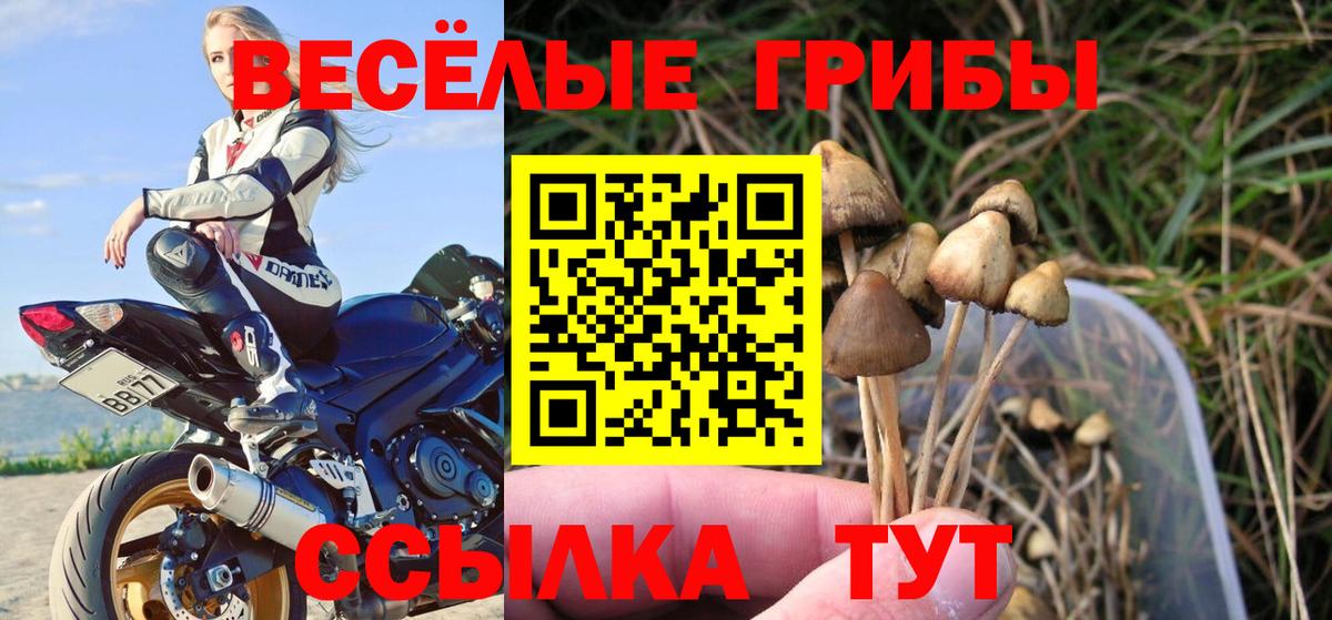 Галлюциногенные грибы мицелий Вышний Волочёк