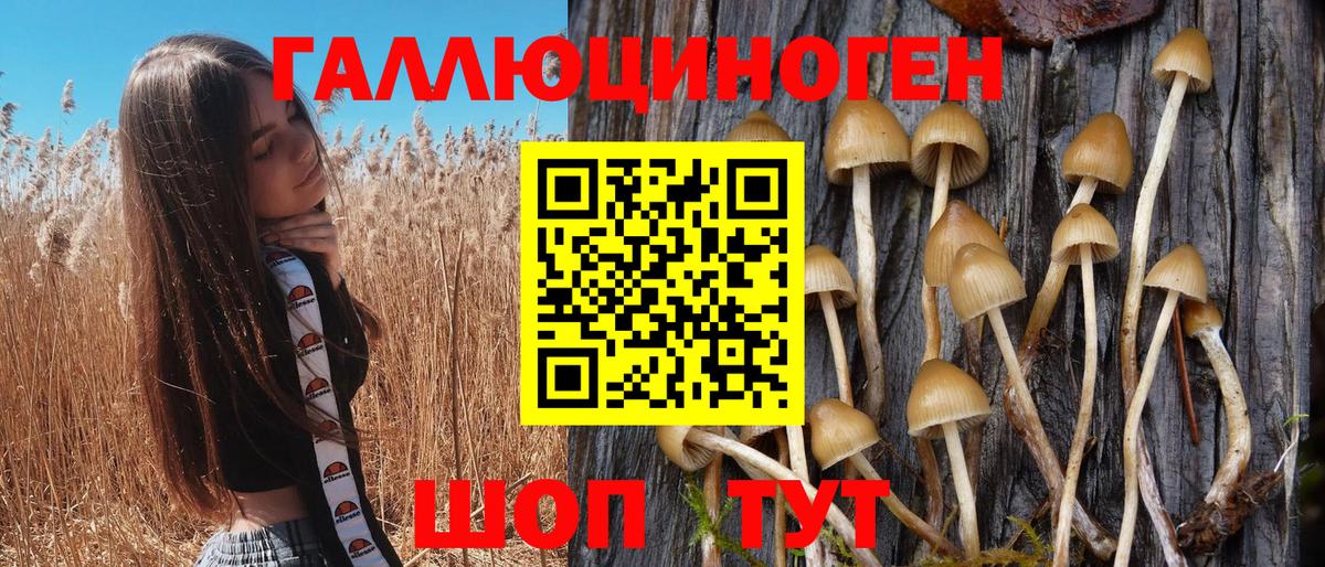 Галлюциногенные грибы MAGIC MUSHROOMS  Вход с VPN  Псилоцибиновые грибы GOLDEN TEACHER  Вышний Волочёк 